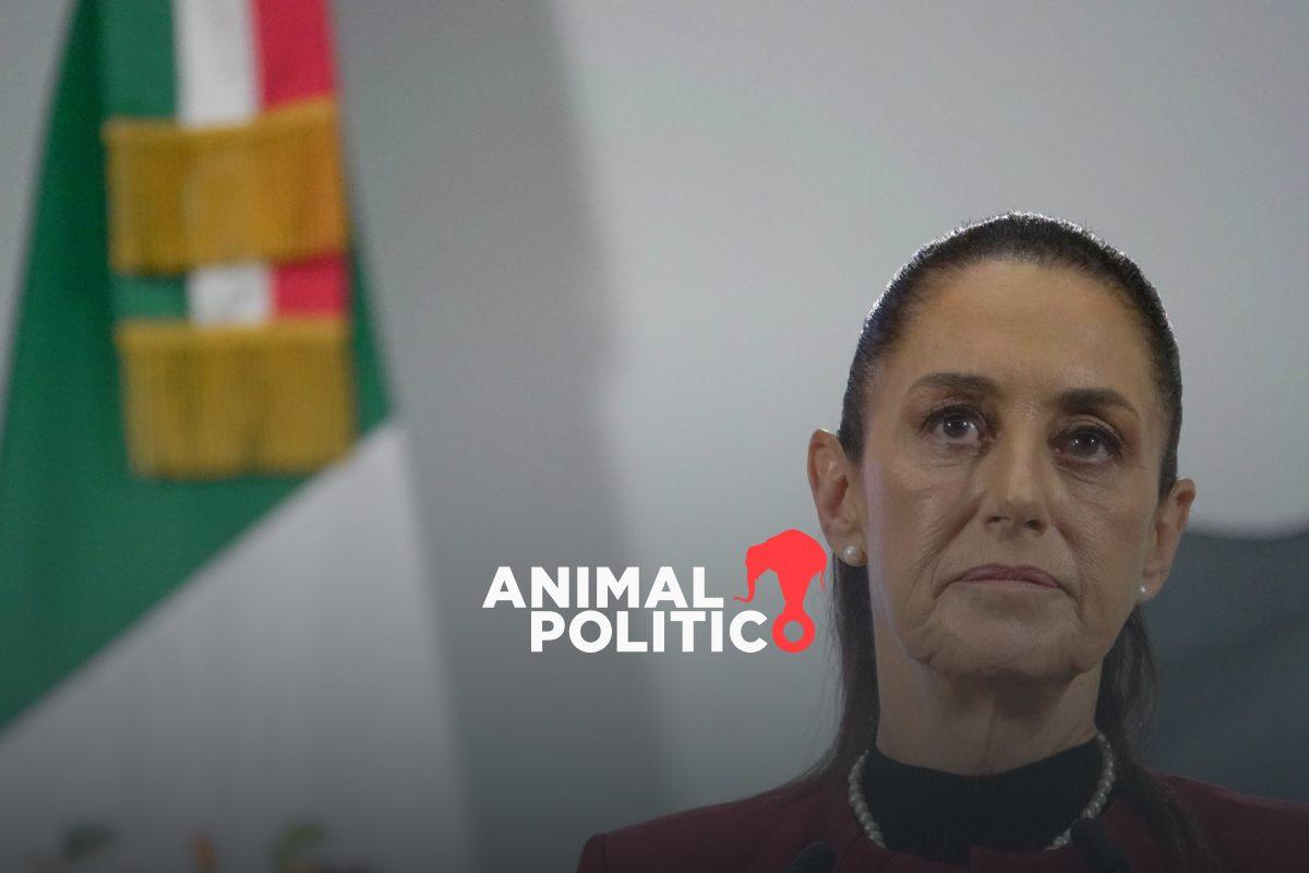 “Se procederá si hay irregularidades”: Sheinbaum sobre caso de corrupción ligada al Tren Maya